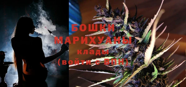 PSILOCYBIN Няндома