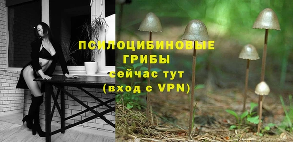гидра Армянск