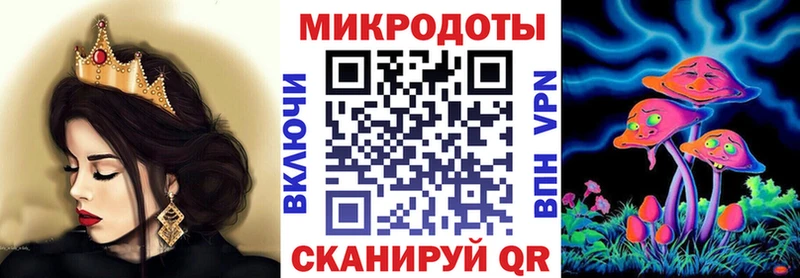 Псилоцибиновые грибы Psilocybe  Фатеж 